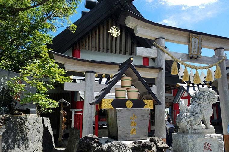 Mt. Fuji, Oishi Park & Arakurayama Pagoda Bus Tour with Lunch - Meeting point, return, and who should book
