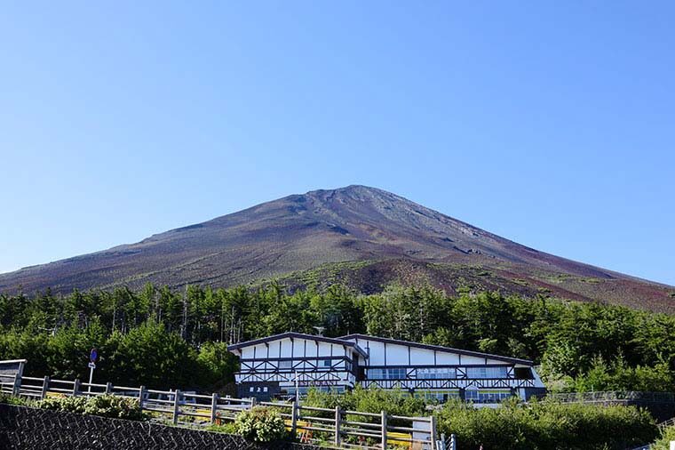 Mt. Fuji, Oishi Park & Arakurayama Pagoda Bus Tour with Lunch - Should you book this Fuji day trip?