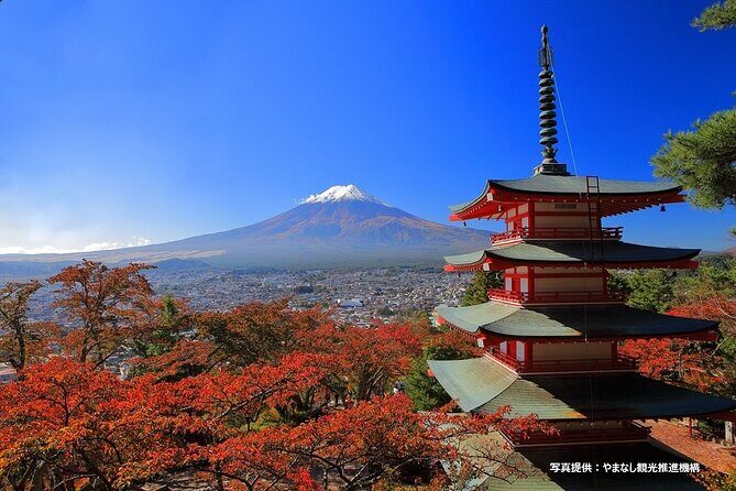Mt.Fuji, Oishi Park & Arakurayama Sengen Park Bus Tour From Tokyo - Key Points