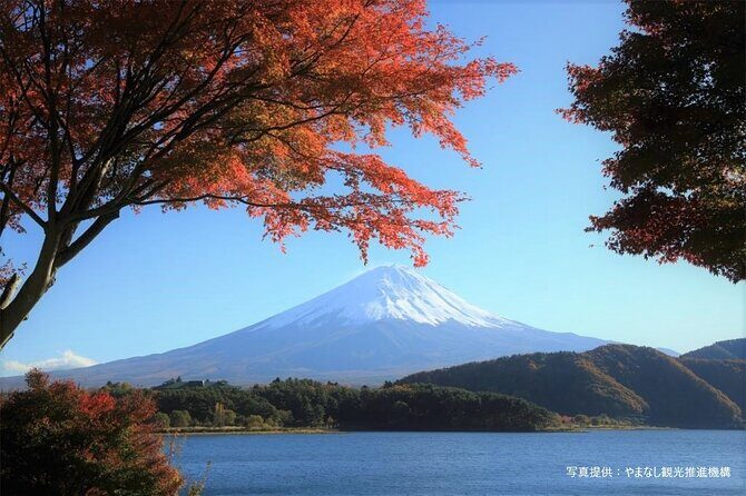 Mt.Fuji, Oishi Park & Arakurayama Sengen Park Bus Tour From Tokyo - The Value of the Tour
