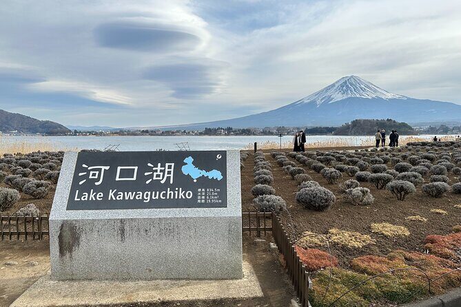 Mt.Fuji, Oishi Park & Arakurayama Sengen Park Bus Tour From Tokyo - Who Should Consider This Tour?