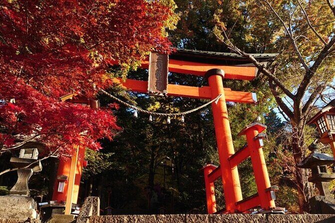 Mt. Fuji one day Private tour from tokyo with English guider - Unlocking Japan’s Icon: A Detailed Look at the Mt. Fuji One-Day Private Tour from Tokyo