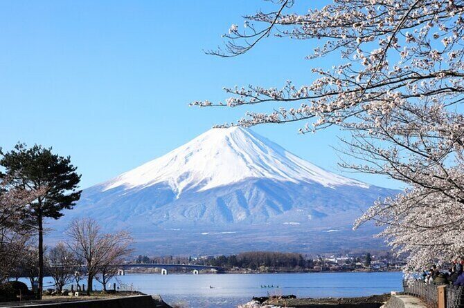 Mt. Fuji one day Private tour from tokyo with English guider - Authentic Experiences and Authenticity
