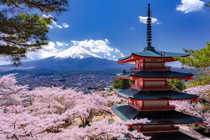 Mt. Fuji one day Private tour from tokyo with English guider - Who This Tour Suits Best