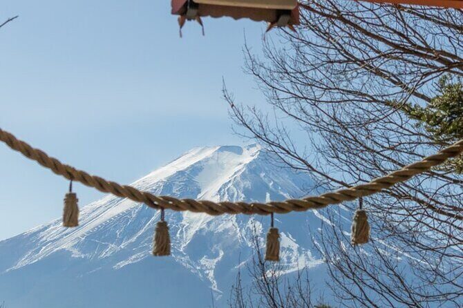 Mt. Fuji one day Private tour from tokyo with English guider - Final Thoughts: Is This Tour Worth It?