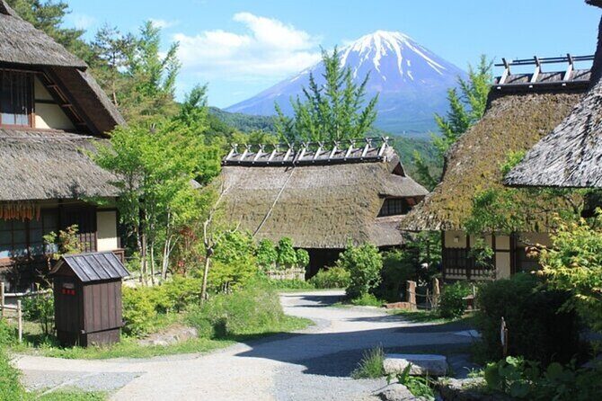 Mt. Fuji one day Private tour from tokyo with English guider - FAQ