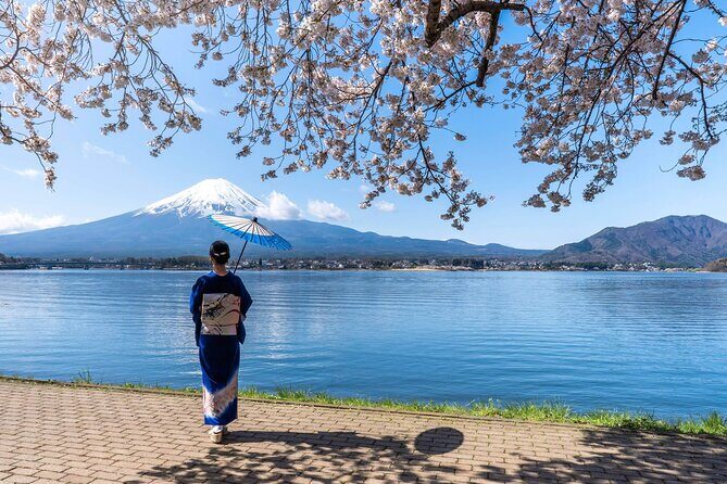 Mt. Fuji Oshino Hakkai and Gotemba Outlets Tour - A Detailed Look at the Mount Fuji Oshino Hakkai and Gotemba Outlets Tour