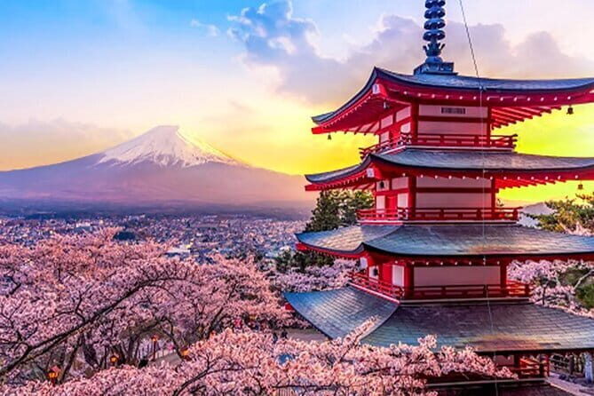 Mt Fuji Oshino Hakkai Gotemba Hot Spring tour from Tokyo/Shinjuku - Key Points