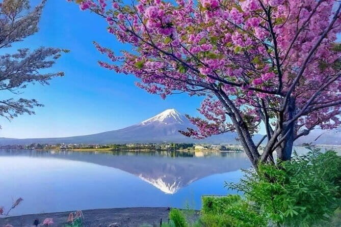 Mt Fuji Oshino Hakkai Gotemba Hot Spring tour from Tokyo/Shinjuku - Final Thoughts