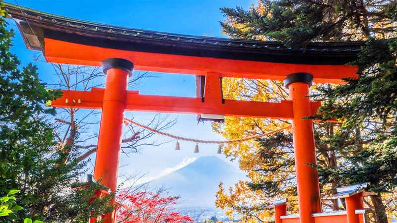 Mt. Fuji, Oshino Hakkai & Onsen Full-Day Tour - Oshino Hakkai breaks up the Fuji day