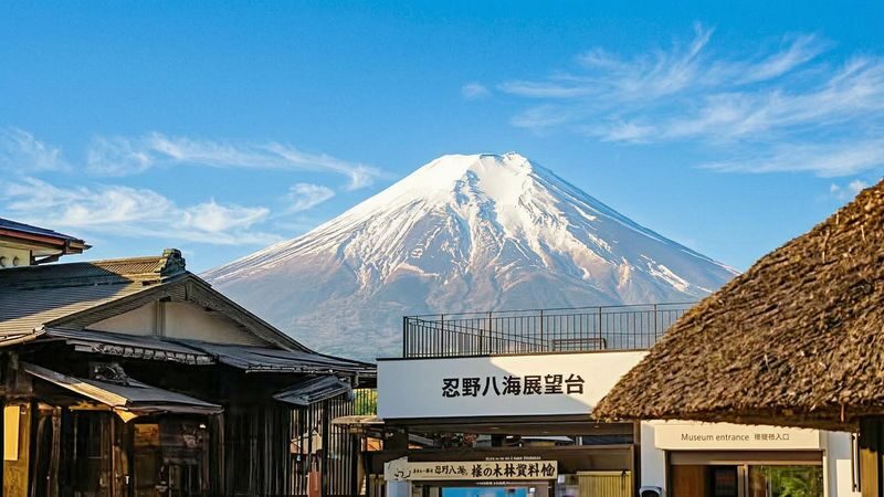 Mt. Fuji Panoramic Day Tour (Departing from Tokyo) - Tenjo-Yama Park by ropeway
