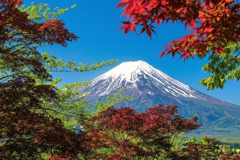 Mt. Fuji Panoramic Day Tour (Departing from Tokyo) - Lunch in the Fuji area