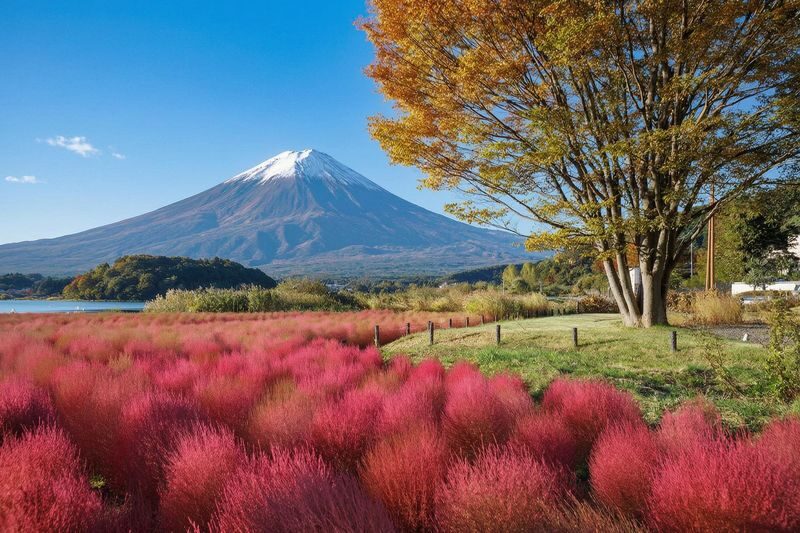 Mt. Fuji Panoramic Day Tour (Departing from Tokyo) - Arakurayama Sengen Park and the shrine