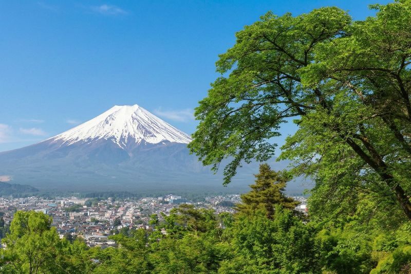 Mt. Fuji Panoramic Day Tour (Departing from Tokyo) - Bus timing, guides, and the return to Tokyo