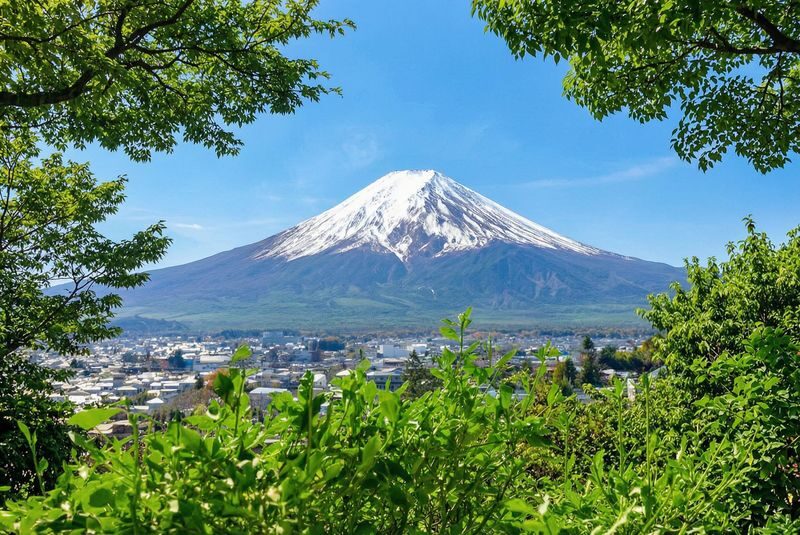 Mt. Fuji Panoramic Day Tour (Departing from Tokyo) - What the price includes, and who gets good value