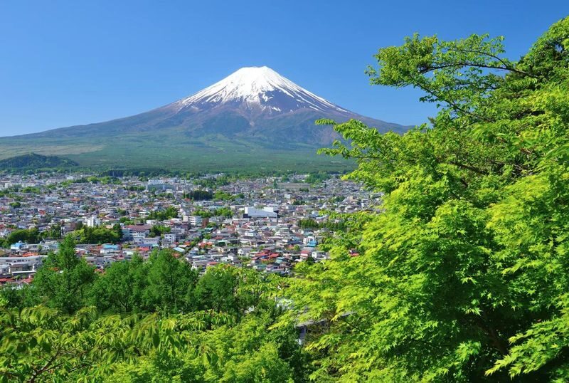 Mt. Fuji Panoramic Day Tour (Departing from Tokyo) - Should you book this Mount Fuji day trip?
