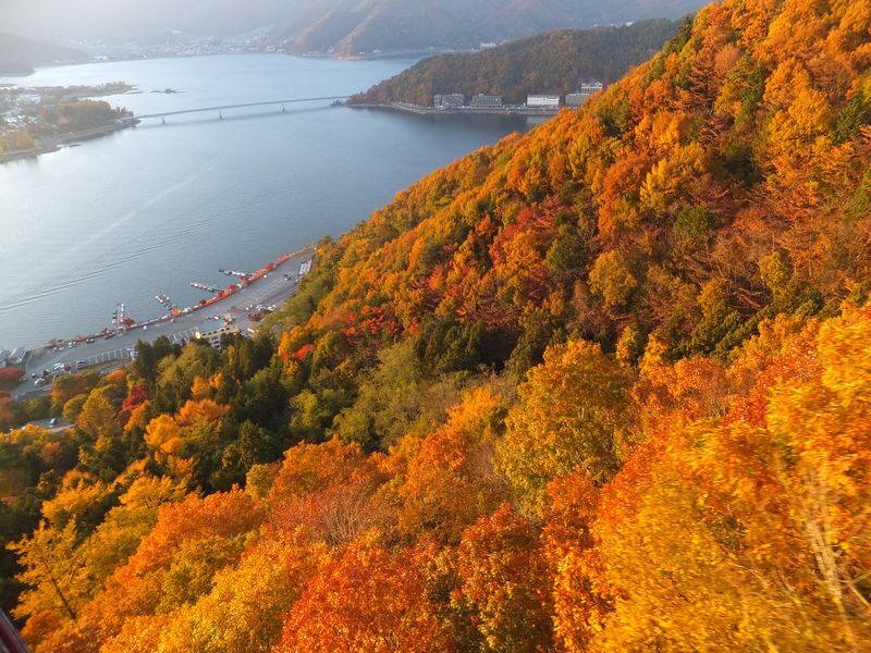 Mt. Fuji Panoramic Ropeway Round-trip Ticket in Yamanashi - Riding up to the summit