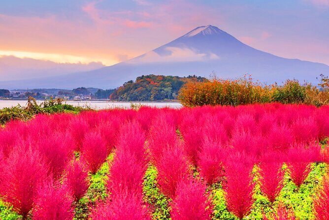 Mt Fuji Pilgrimage Full Day Tour with 7 Must See Scenic Spots - Transportation and Practicalities