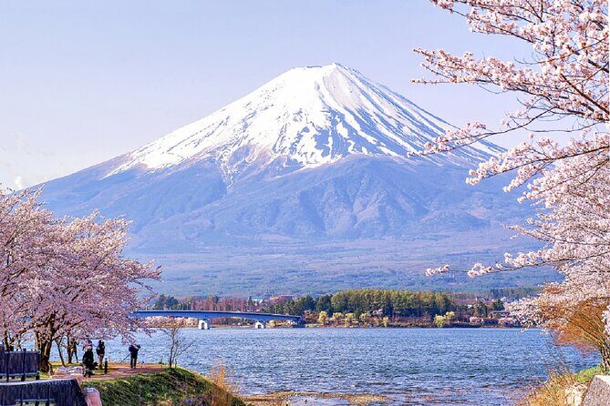 Mt Fuji Pilgrimage Full Day Tour with 7 Must See Scenic Spots - The Sum Up