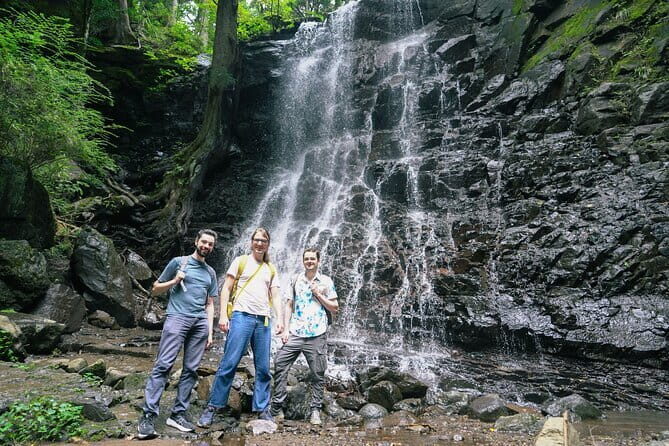 Mt. Fuji Private Chartered Tour with Nature & Wasabi Farm - Key Points