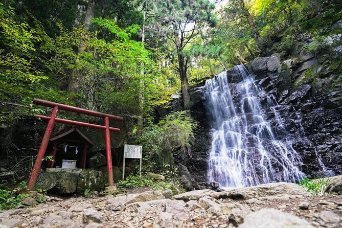 Mt. Fuji Private Chartered Tour with Nature & Wasabi Farm - Final Thoughts