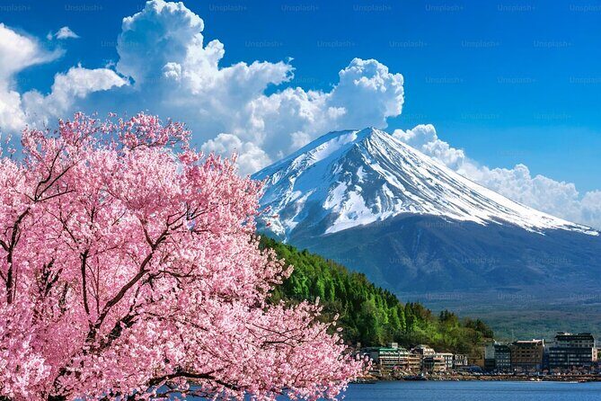 Mt. Fuji Private Customized Day Tour - Key Points