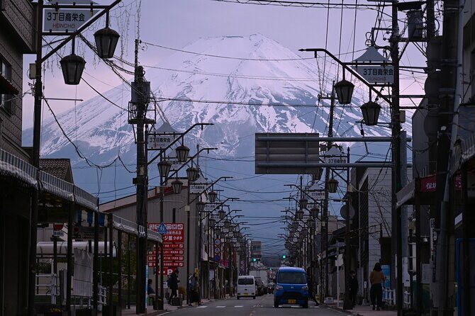 Mt.Fuji Private Day Trip from Tokyo with Driver & Top Photo Spots - Key Points