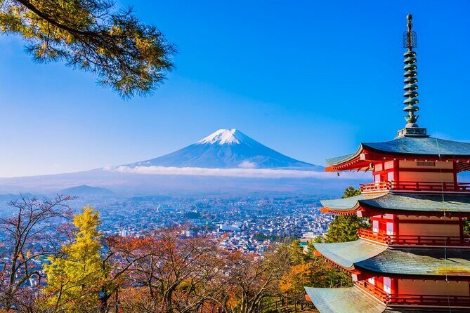 Mt Fuji Private Day Trip from Tokyo with English Speaking Driver - A Detailed Look at the Tour Experience