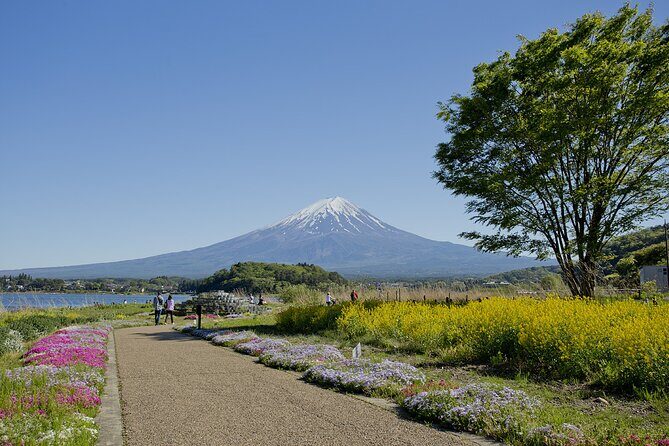 Mt.Fuji Private SightSeeing Day Tour (From Tokyo) - Key Points