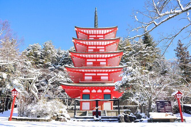 Mt.Fuji Private SightSeeing Day Tour (From Tokyo) - Transportation & Comfort