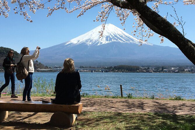 Mt Fuji Private Sightseeing Day Trip With English Speaking Driver - Key Points