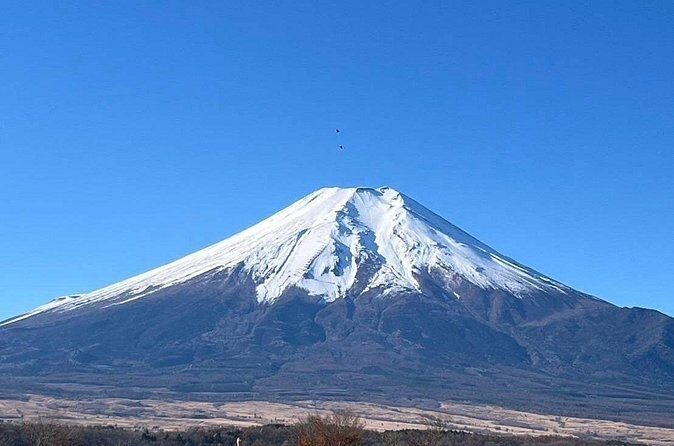 Mt. Fuji Private Taxi Tour Discover Hidden Spots with Guide - FAQ
