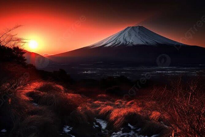 Mt Fuji Private tour by Land Cruiser Prado with pick and drop - A Deep Dive into the Mount Fuji Private Tour Experience