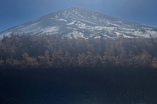 Mt. Fuji Private Tour with English Speaking Driver - Who Should Consider This Tour?
