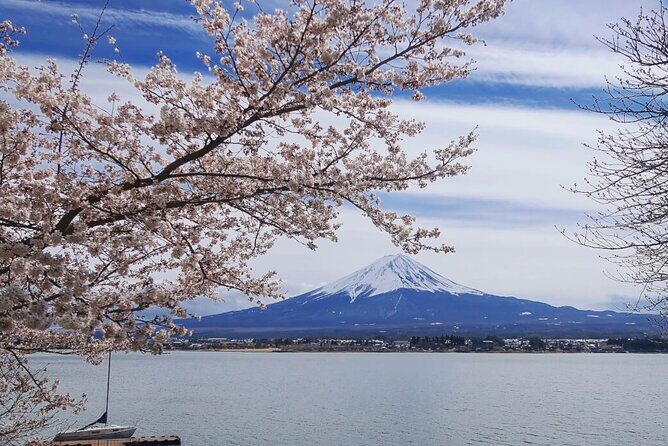 Mt. Fuji Private Tour with English Speaking Driver - Frequently Asked Questions