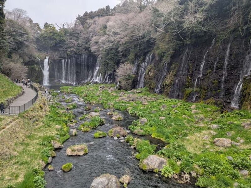 Mt. Fuji : Private Tour with Local Guide in English - FAQs