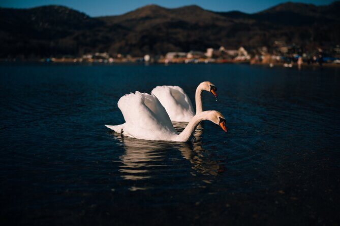 Mt. Fuji Scenic Lakes and Oshino Hakkai Private Tour - Discovering the Best of Mt. Fuji: A Detailed Look