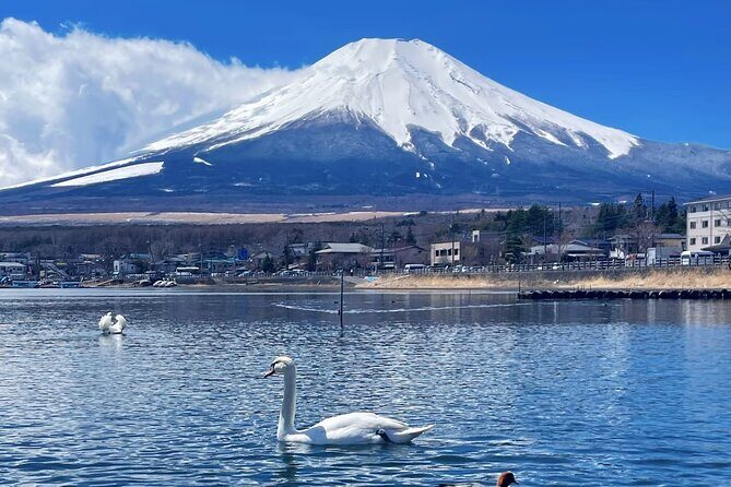 Mt. Fuji Scenic Lakes and Oshino Hakkai Private Tour - FAQs