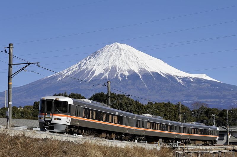 Mt Fuji, Shizuoka Wasabi Farm Tour with Hokusai Train & Bullet Train - At a glance