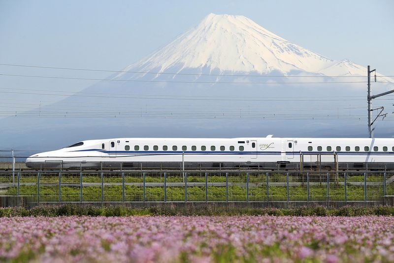 Mt Fuji, Shizuoka Wasabi Farm Tour with Hokusai Train & Bullet Train - Who should book this Fuji day trip?