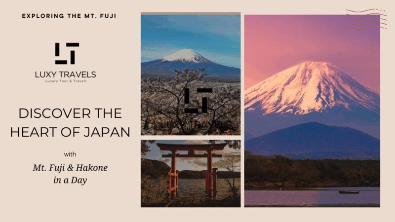 Mt Fuji Sightseeing Private tour with English Speaking Guide - Key Points