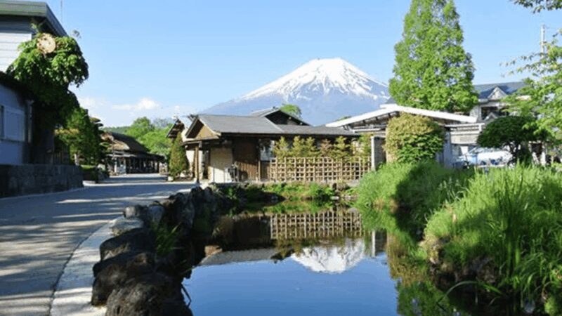 Mt Fuji Sightseeing Private tour with English Speaking Guide - A Deep Dive Into the Tour Experience