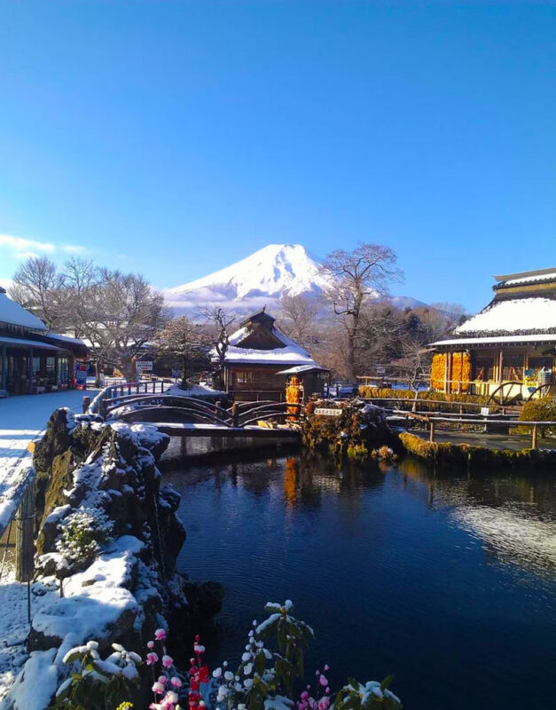 Mt. Fuji Six Views Popular Scenic Spots Check-in 9-Person Boutique Small Group Day Trip (Optional Hotel Pick-up) - Oshino Hakkai’s spring pools