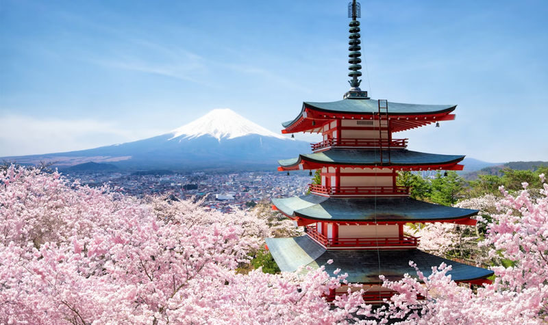 Mt. Fuji Small Group Day Tour: Lake Kawaguchiko Oishi Park & Arakurayama Sengen Park & Oshino Hakkai & Hikawa Clock Shop & Popular Lawson (Departing from Tokyo, optional hotel pick-up and drop-off) - A day from Tokyo built around Fuji