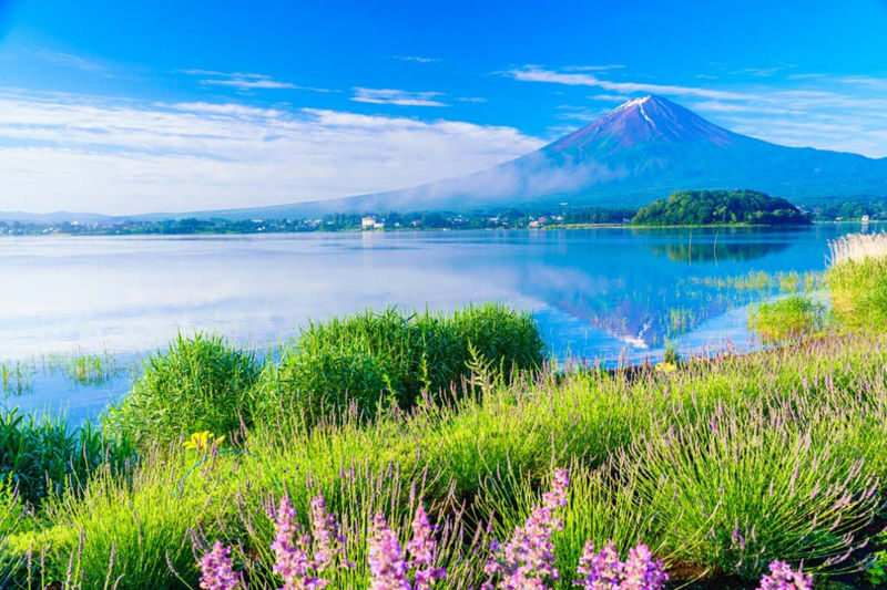 Mt. Fuji Small Group Day Tour: Lake Kawaguchiko Oishi Park & Arakurayama Sengen Park & Oshino Hakkai & Hikawa Clock Shop & Popular Lawson (Departing from Tokyo, optional hotel pick-up and drop-off) - Lawson near Kawaguchiko Station: a familiar sign in a Fuji frame