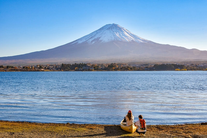Mt. Fuji Small Group Day Tour: Lake Kawaguchiko Oishi Park & Arakurayama Sengen Park & Oshino Hakkai & Hikawa Clock Shop & Popular Lawson (Departing from Tokyo, optional hotel pick-up and drop-off) - Is the $49.29 starting price good value?