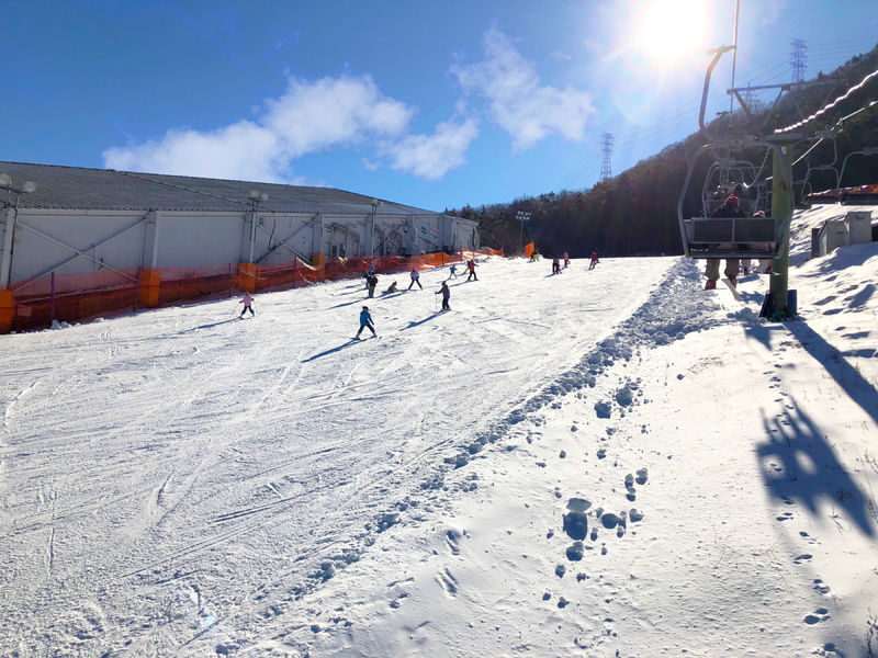 Mt. Fuji Snow Resort Yeti - Beginner Lesson & Snow Fun from Tokyo - Lunch, Snow Play, and the Afternoon