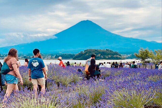 Mt. Fuji Spanish & English tour - Key Points
