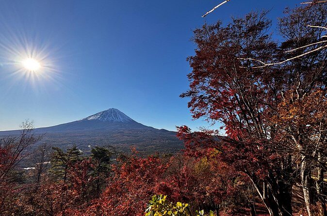 Mt Fuji Sunrise and Scenic Tour Private Journey to Experience - Who Should Consider This Tour?