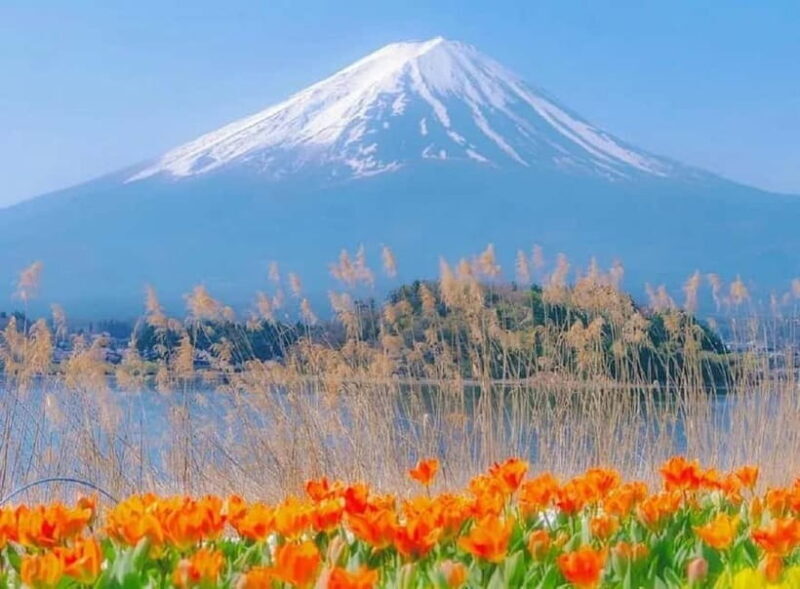 Mt Fuji Top 5 Spots Day Tour: Arakurayama Park,Oshino Hakkai - Discover Mount Fuji on an Authentic Day Tour for $59
